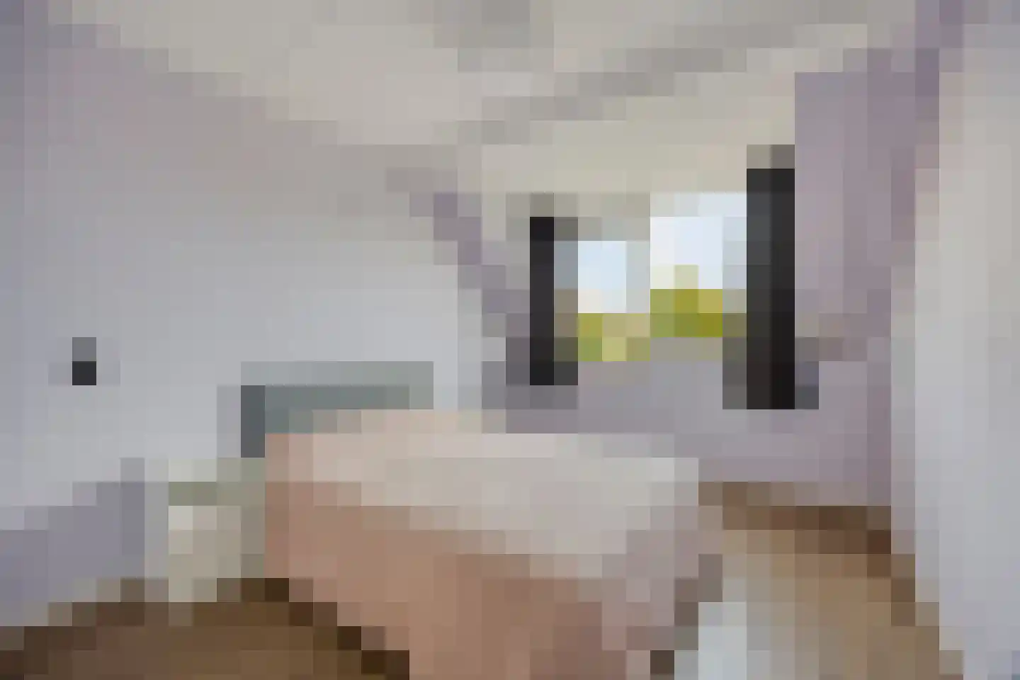 De Streng 12 Waarland thumbnail 4