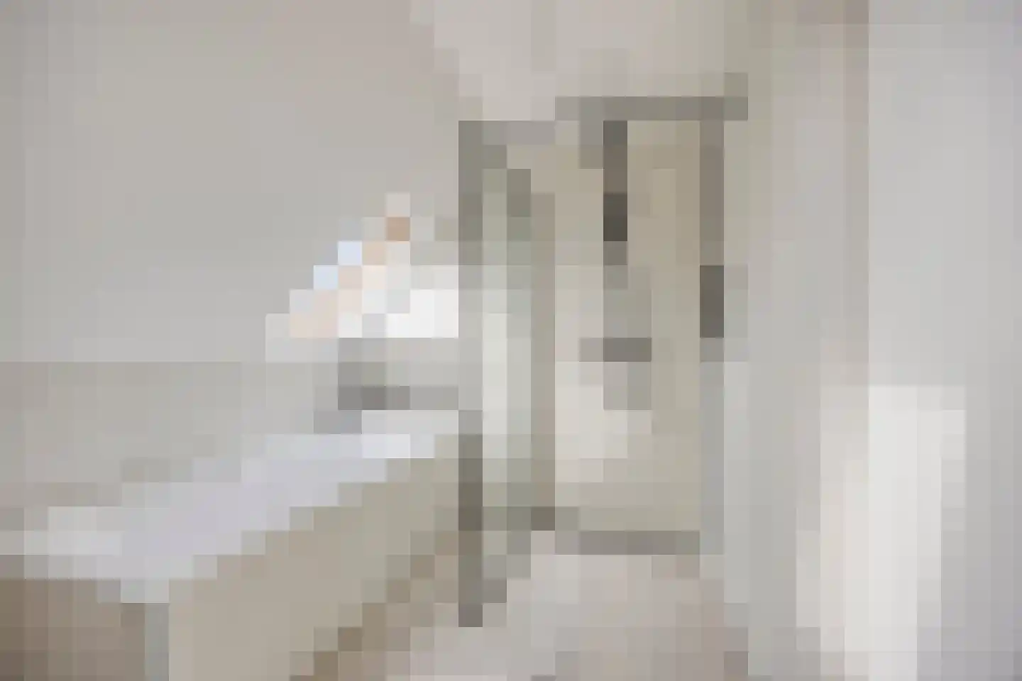 De Streng 12 Waarland thumbnail 5