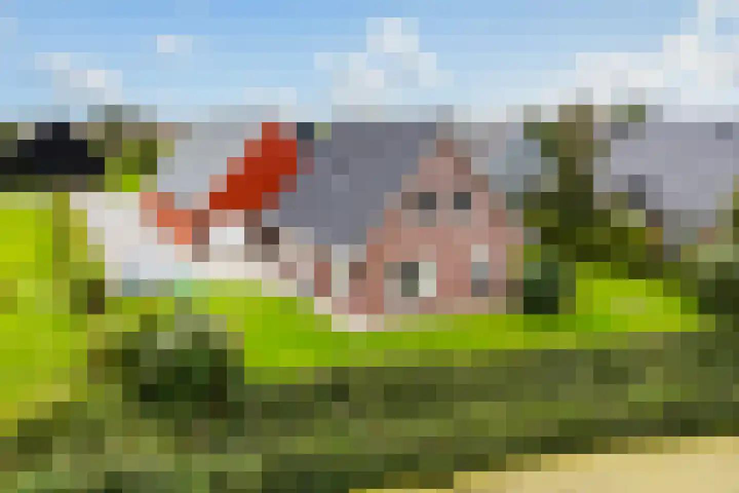 De Streng 4 in Ternaard