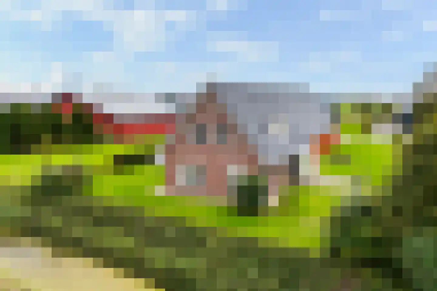 De Streng 4 Ternaard thumbnail 10