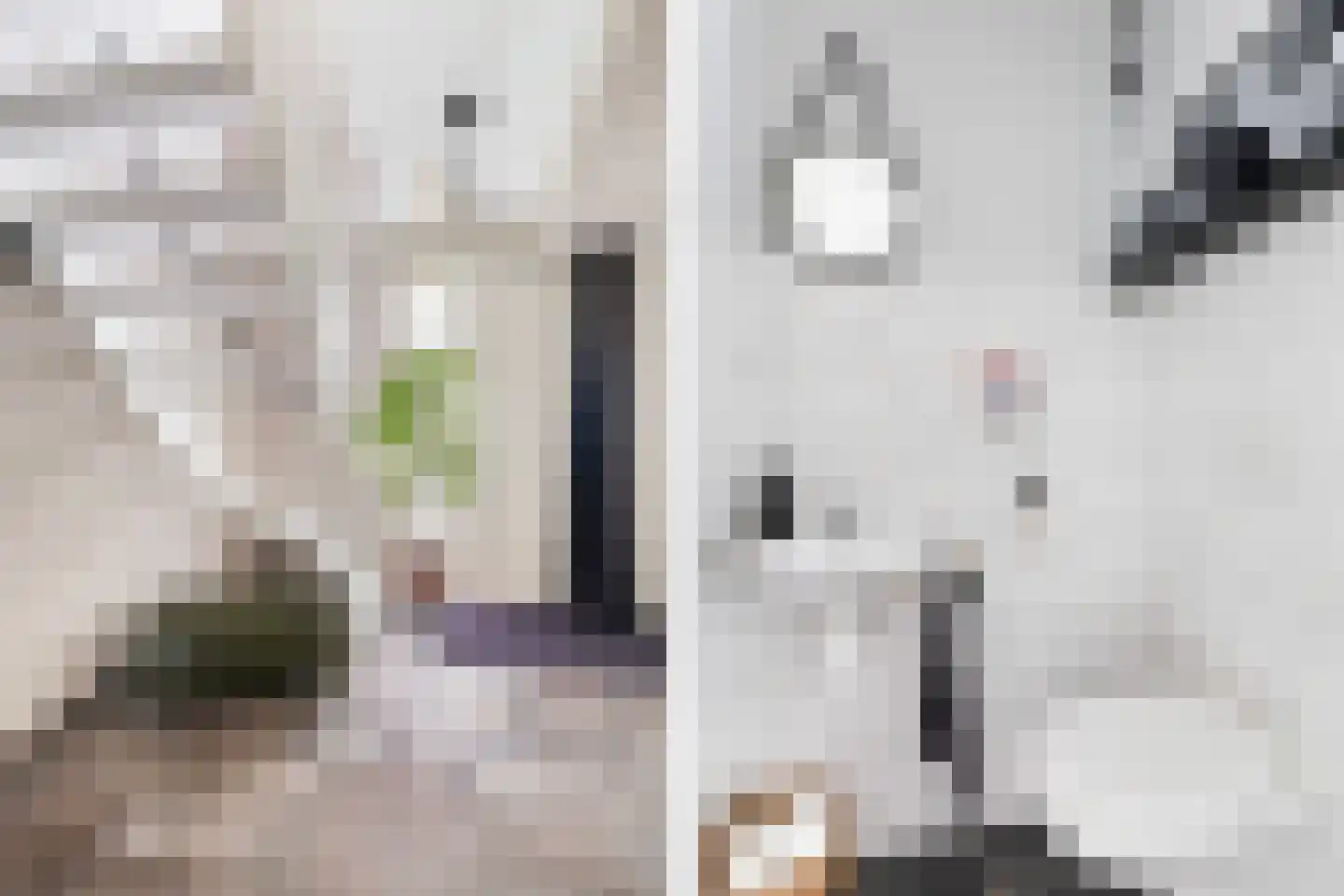 De Streng 4 Ternaard thumbnail 14