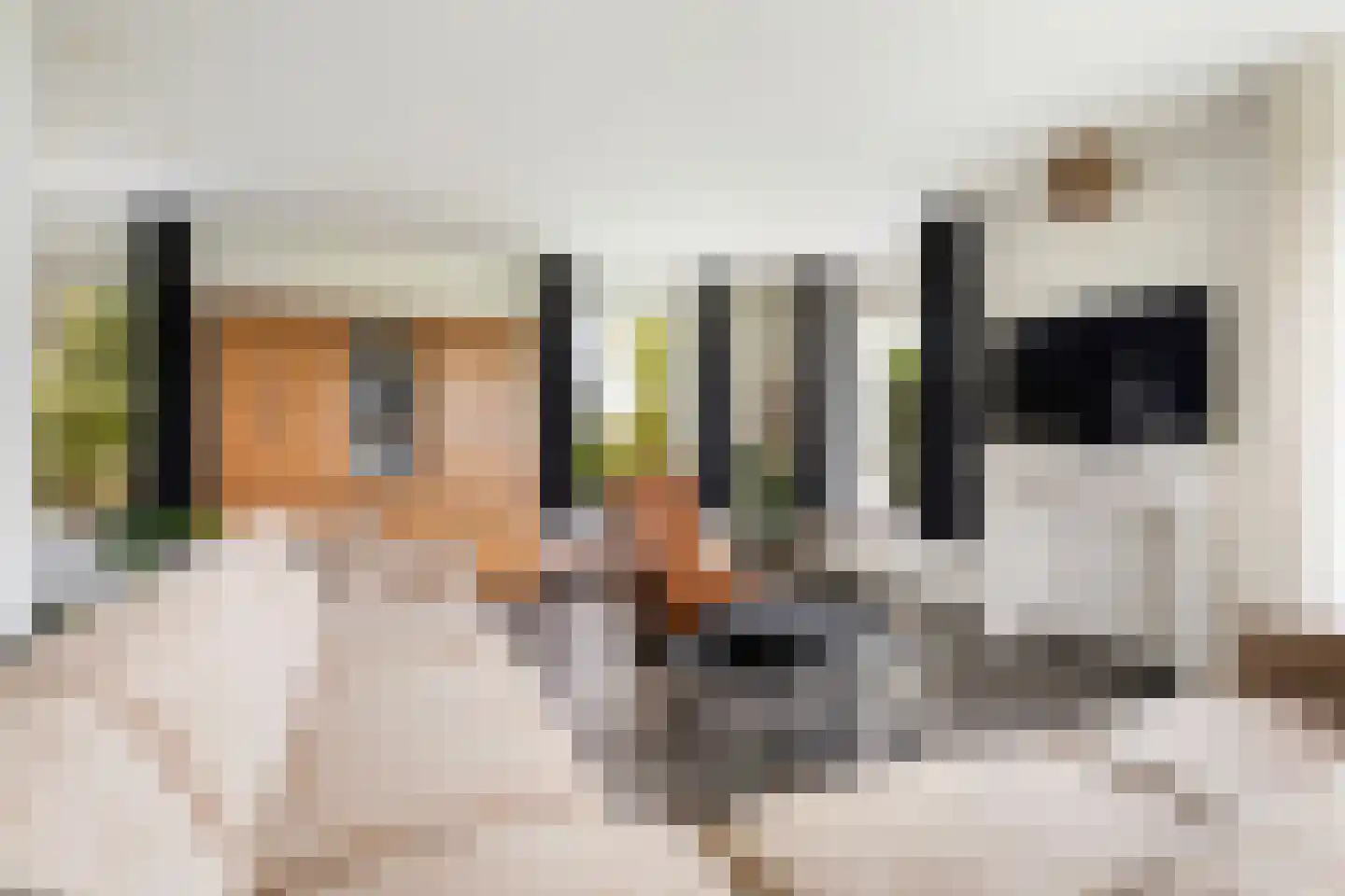 De Streng 4 Ternaard thumbnail 17