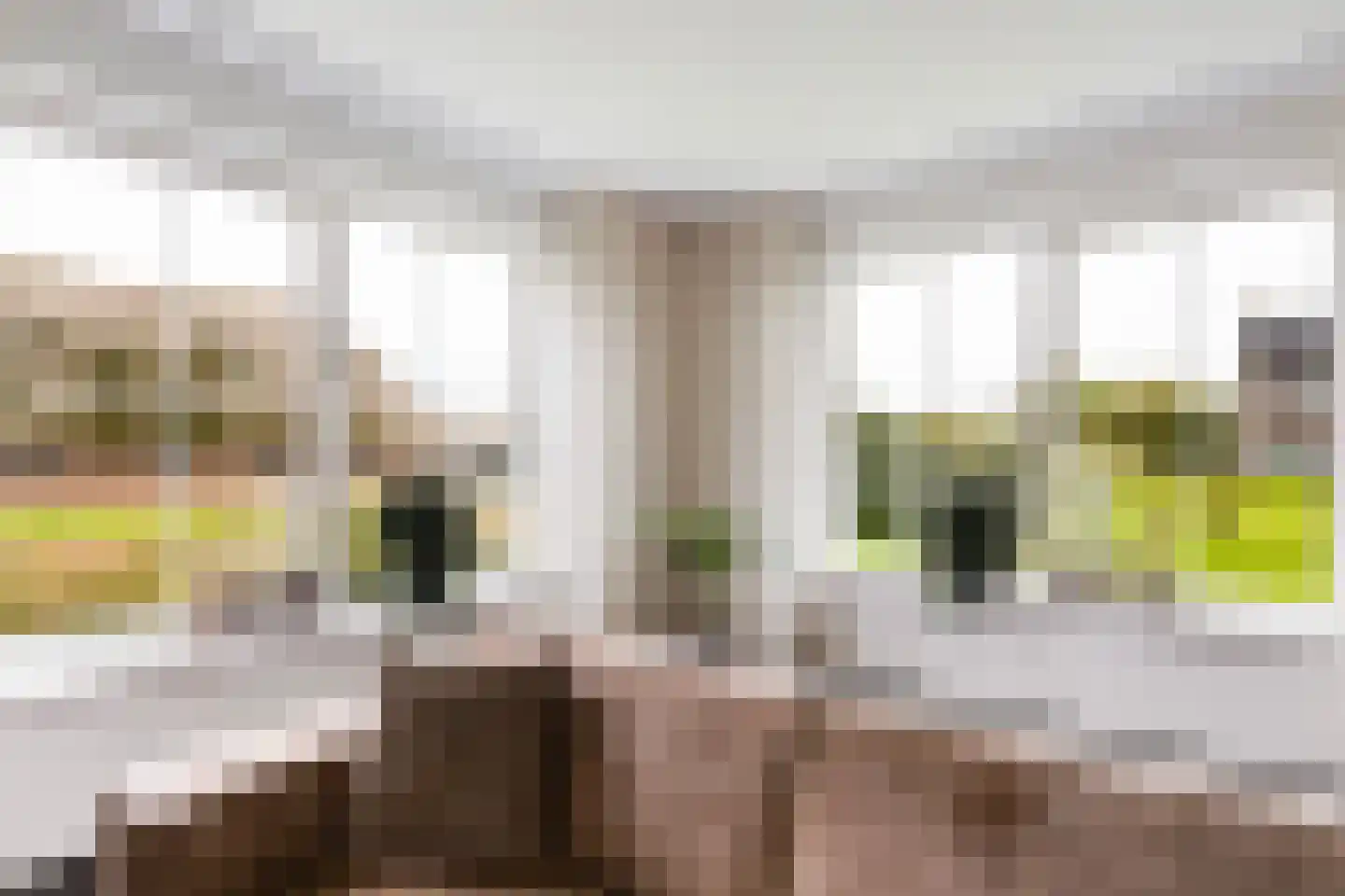 De Streng 4 Ternaard thumbnail 19