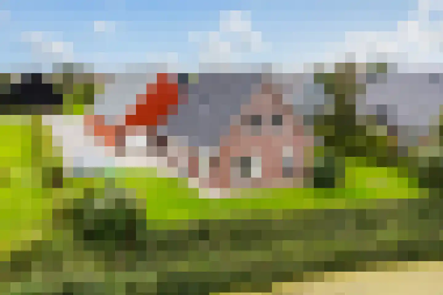 De Streng 4 Ternaard foto 2