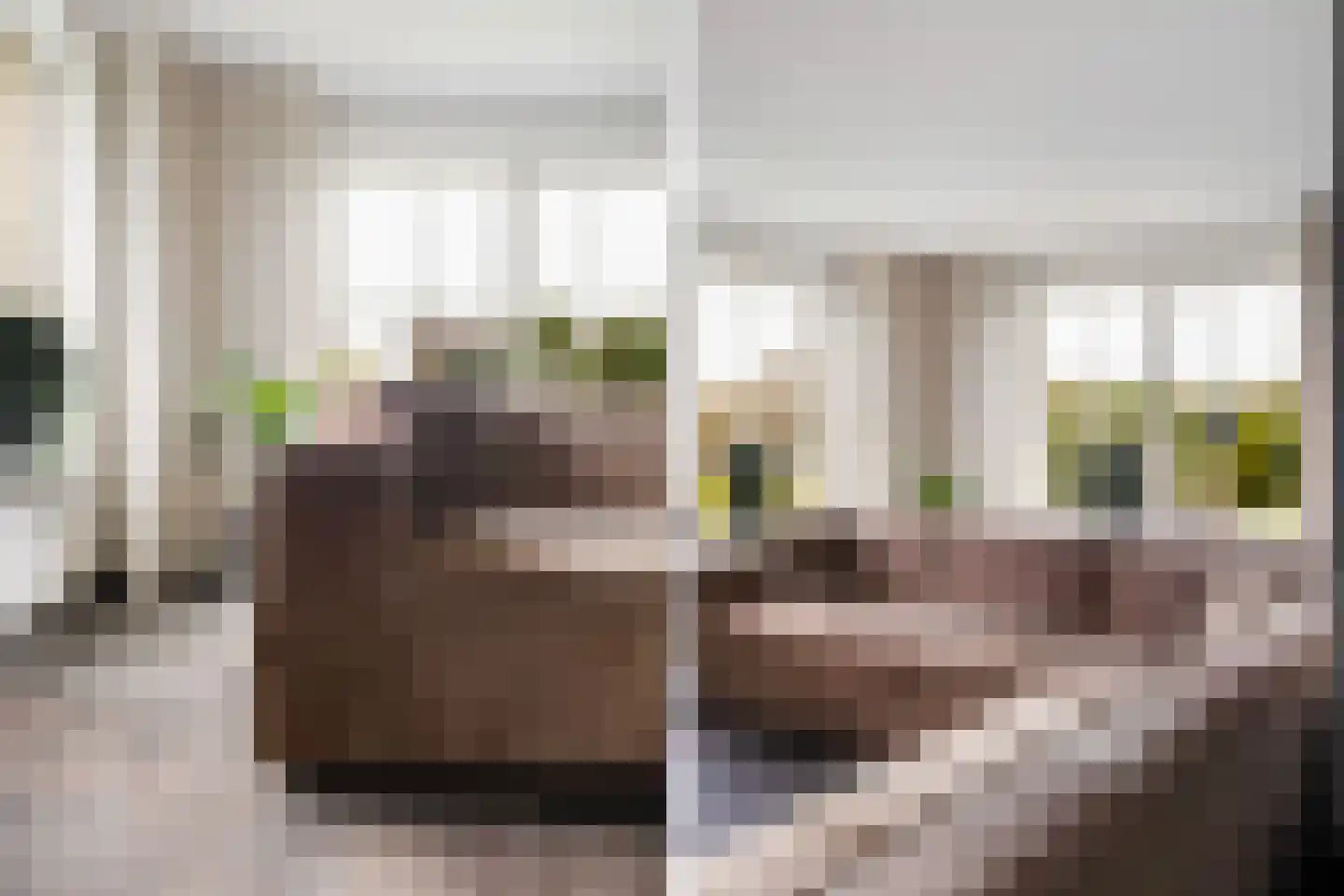 De Streng 4 Ternaard thumbnail 20
