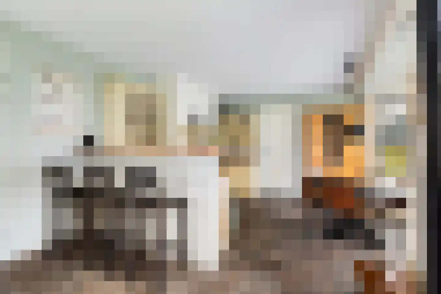 De Streng 4 Ternaard thumbnail 21