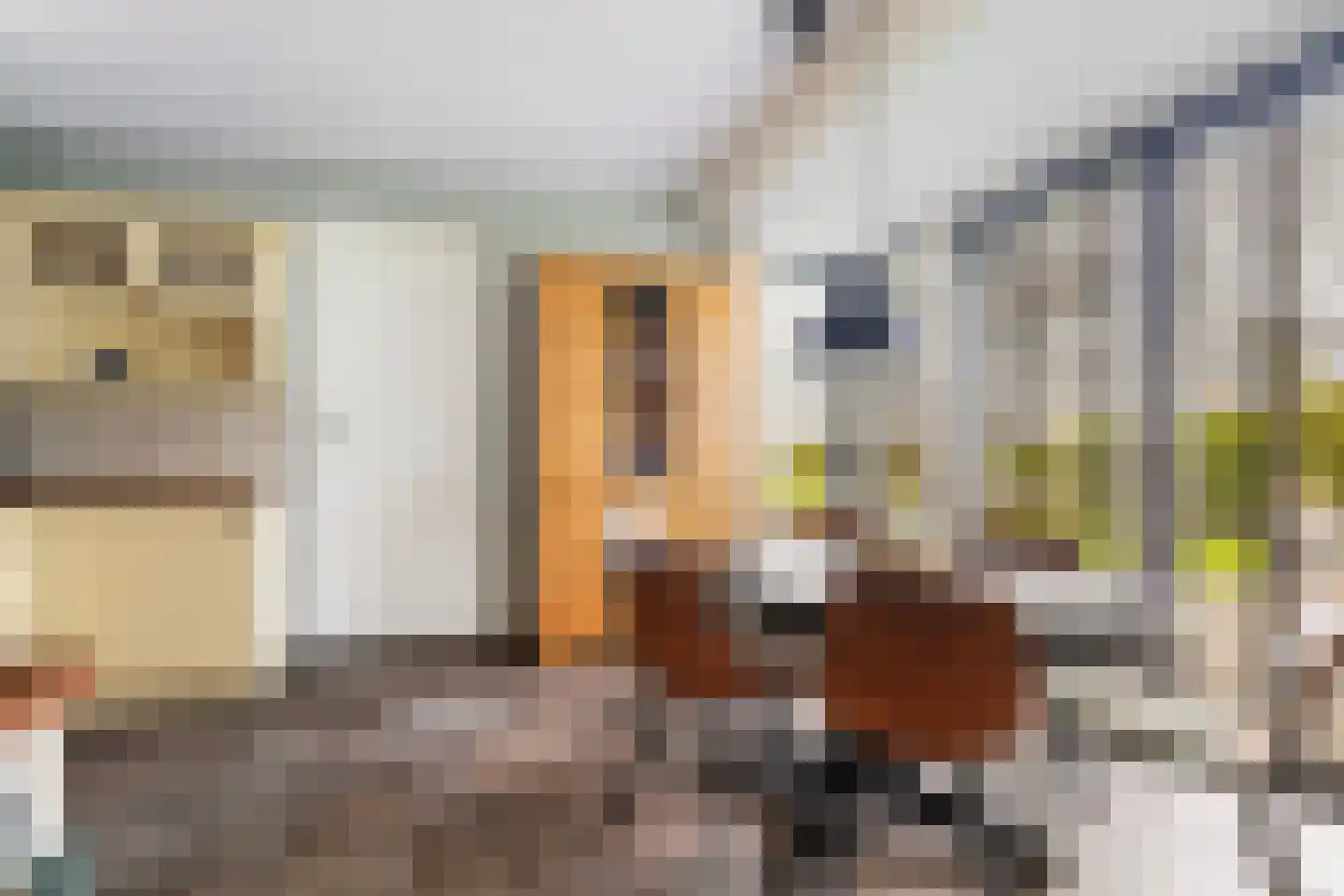 De Streng 4 Ternaard thumbnail 22