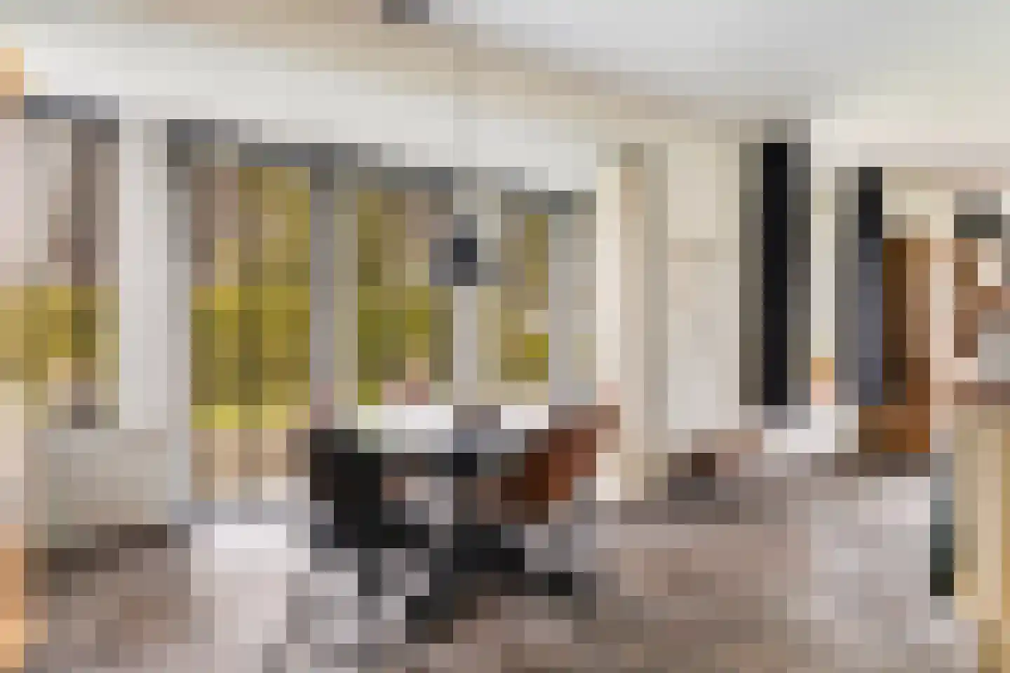 De Streng 4 Ternaard thumbnail 23