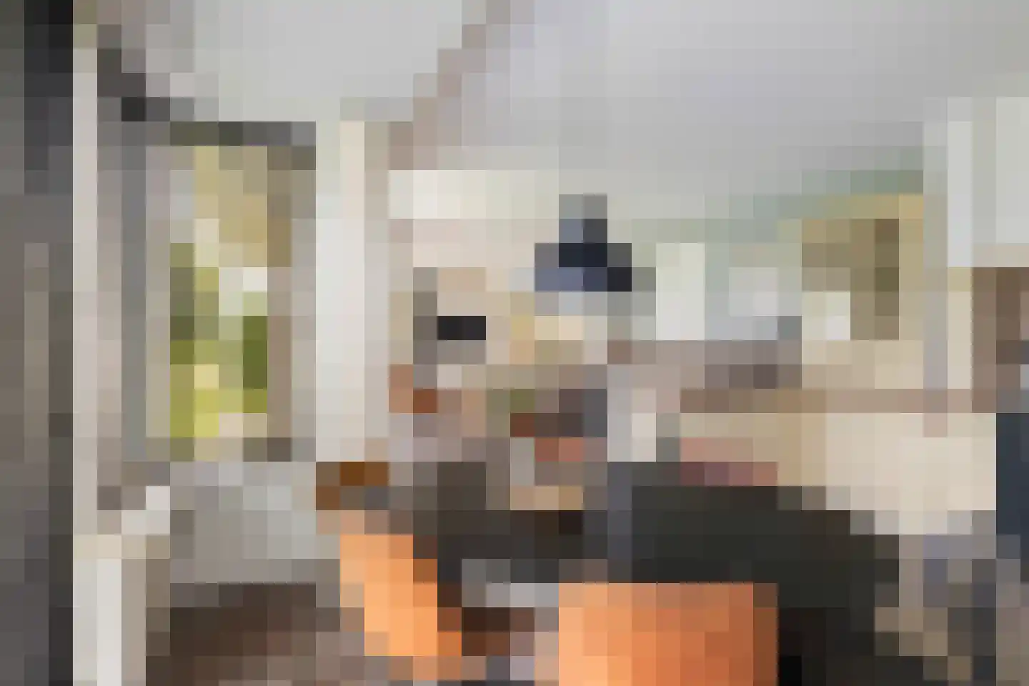 De Streng 4 Ternaard thumbnail 25