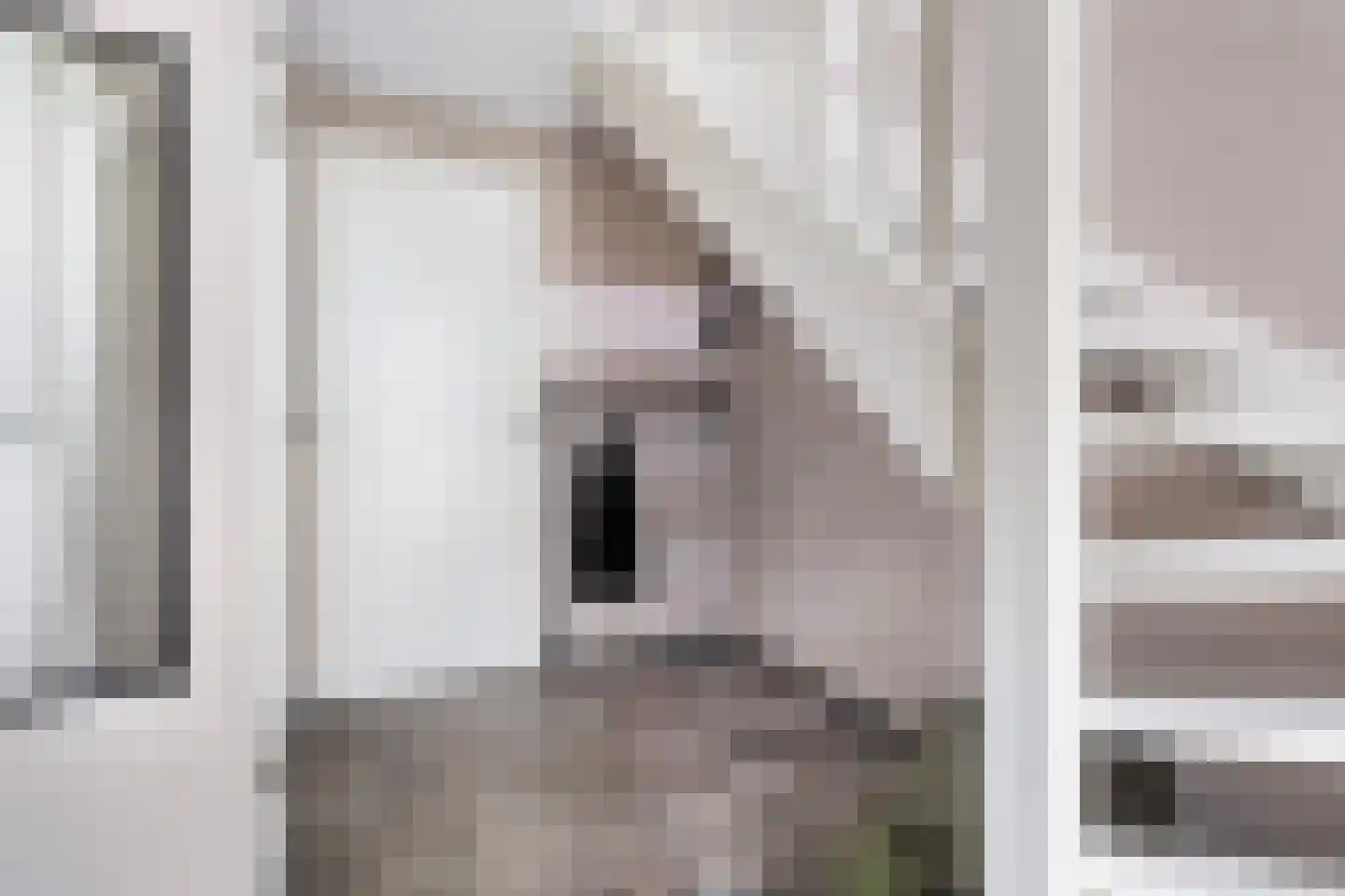 De Streng 4 Ternaard thumbnail 34