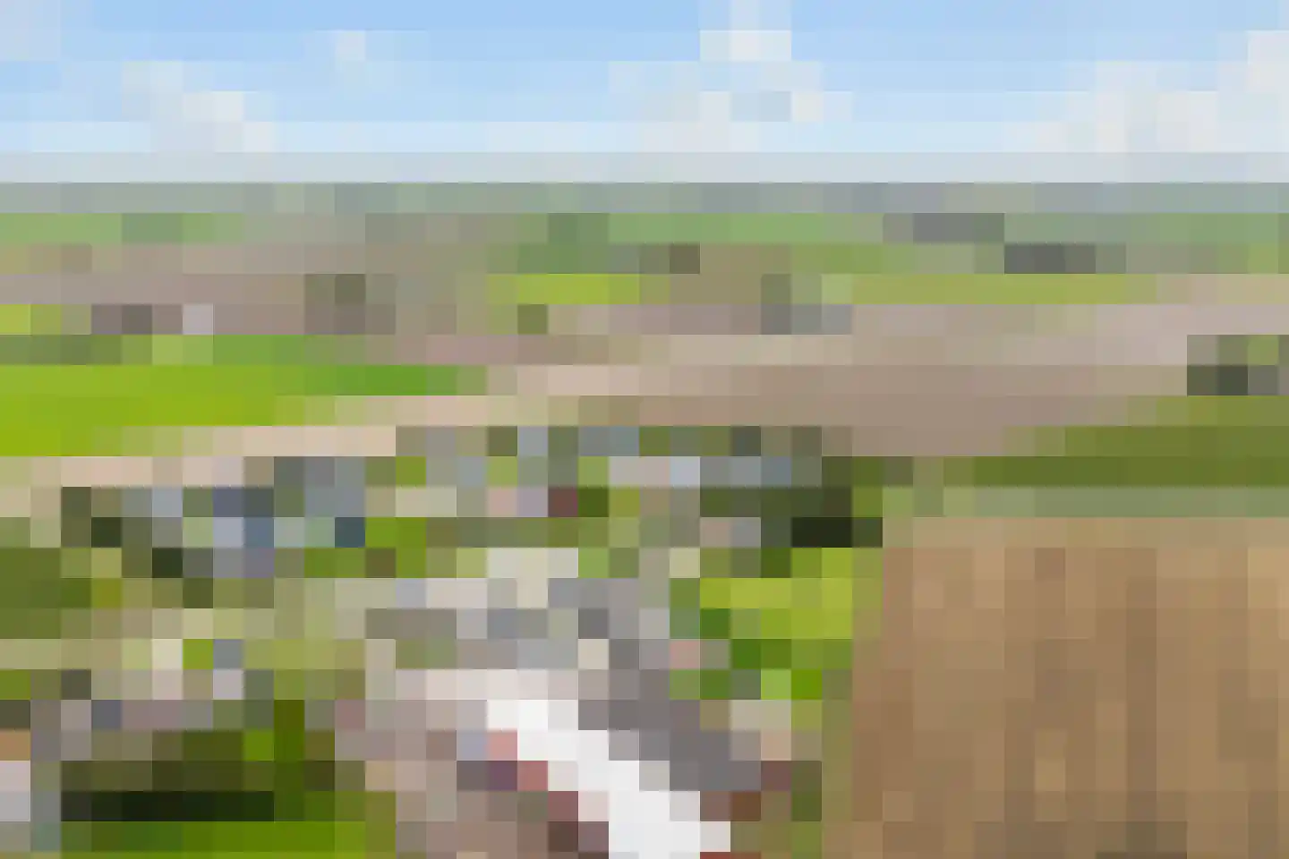 De Streng 4 Ternaard thumbnail 4
