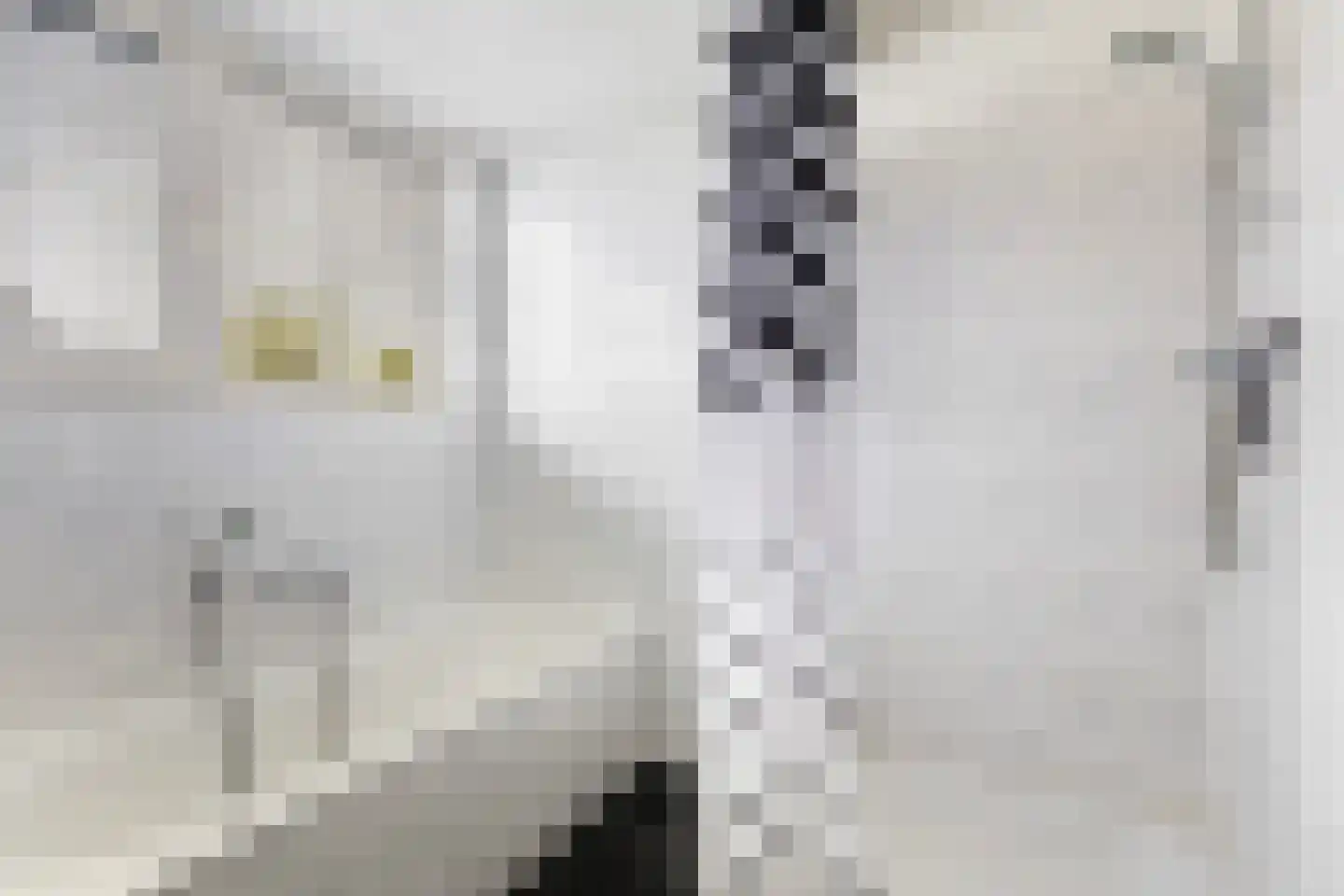 De Streng 4 Ternaard thumbnail 42