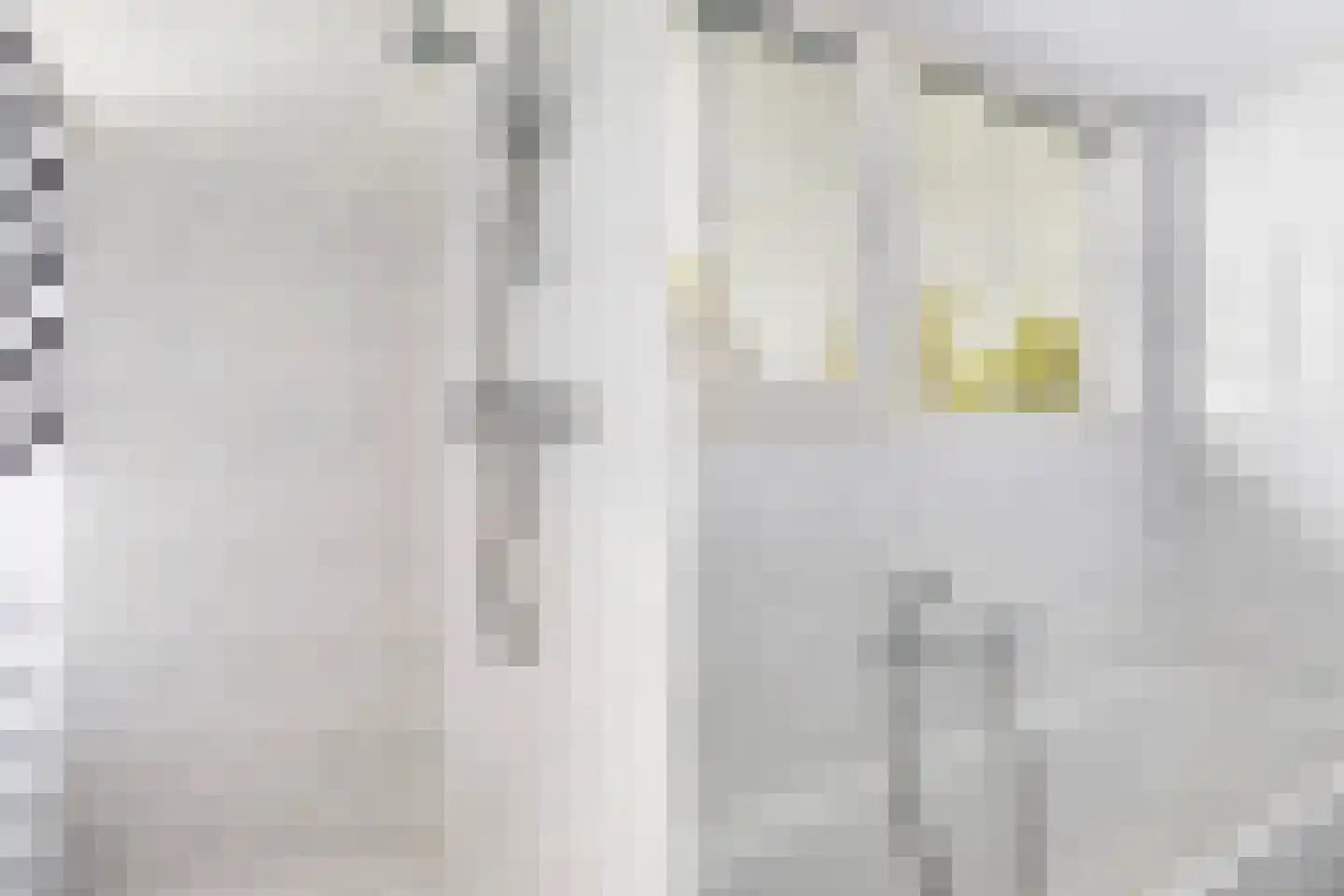 De Streng 4 Ternaard thumbnail 43