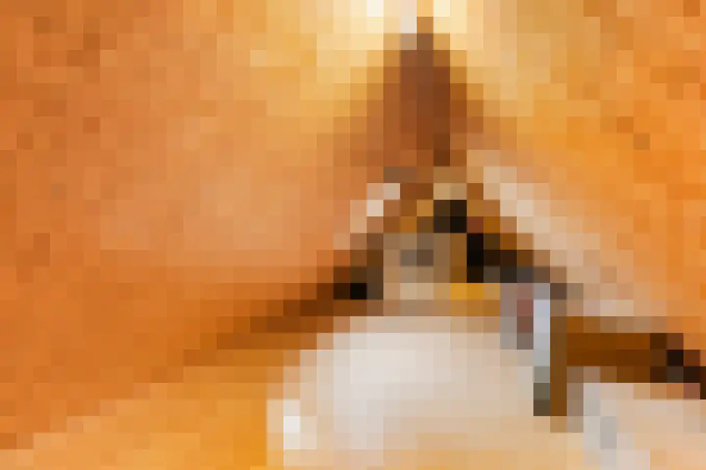 De Streng 4 Ternaard thumbnail 49