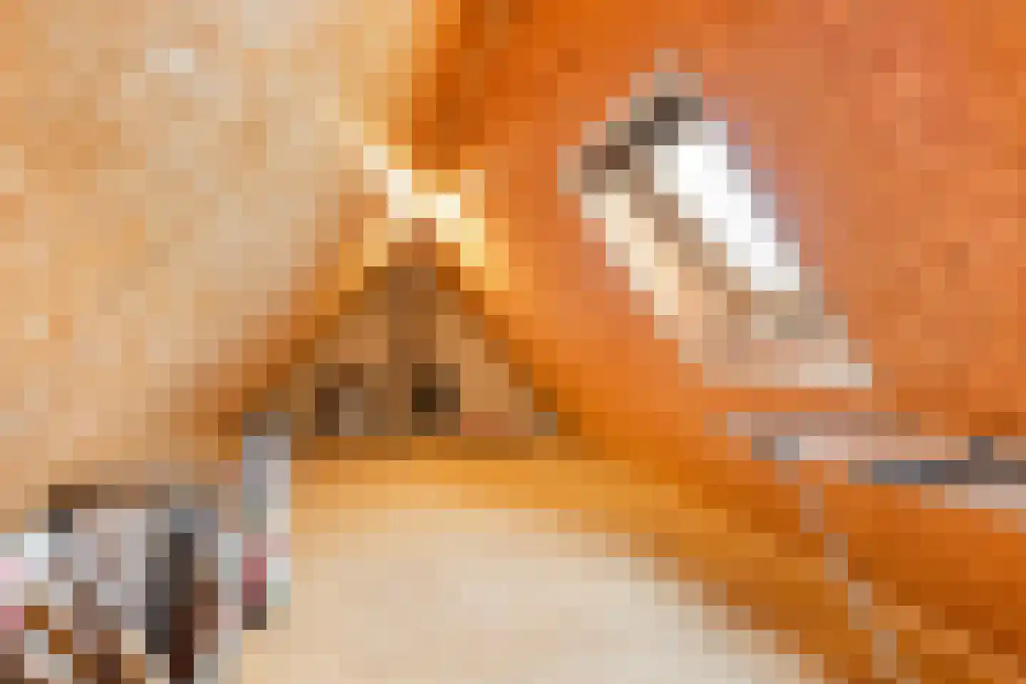 De Streng 4 Ternaard thumbnail 50