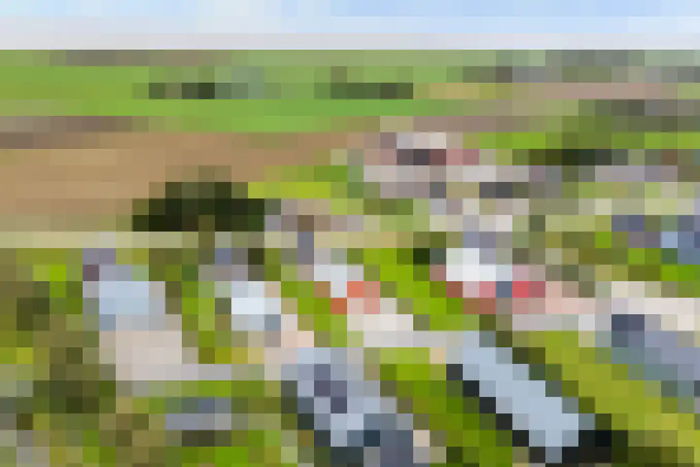 De Streng 4 Ternaard thumbnail 61