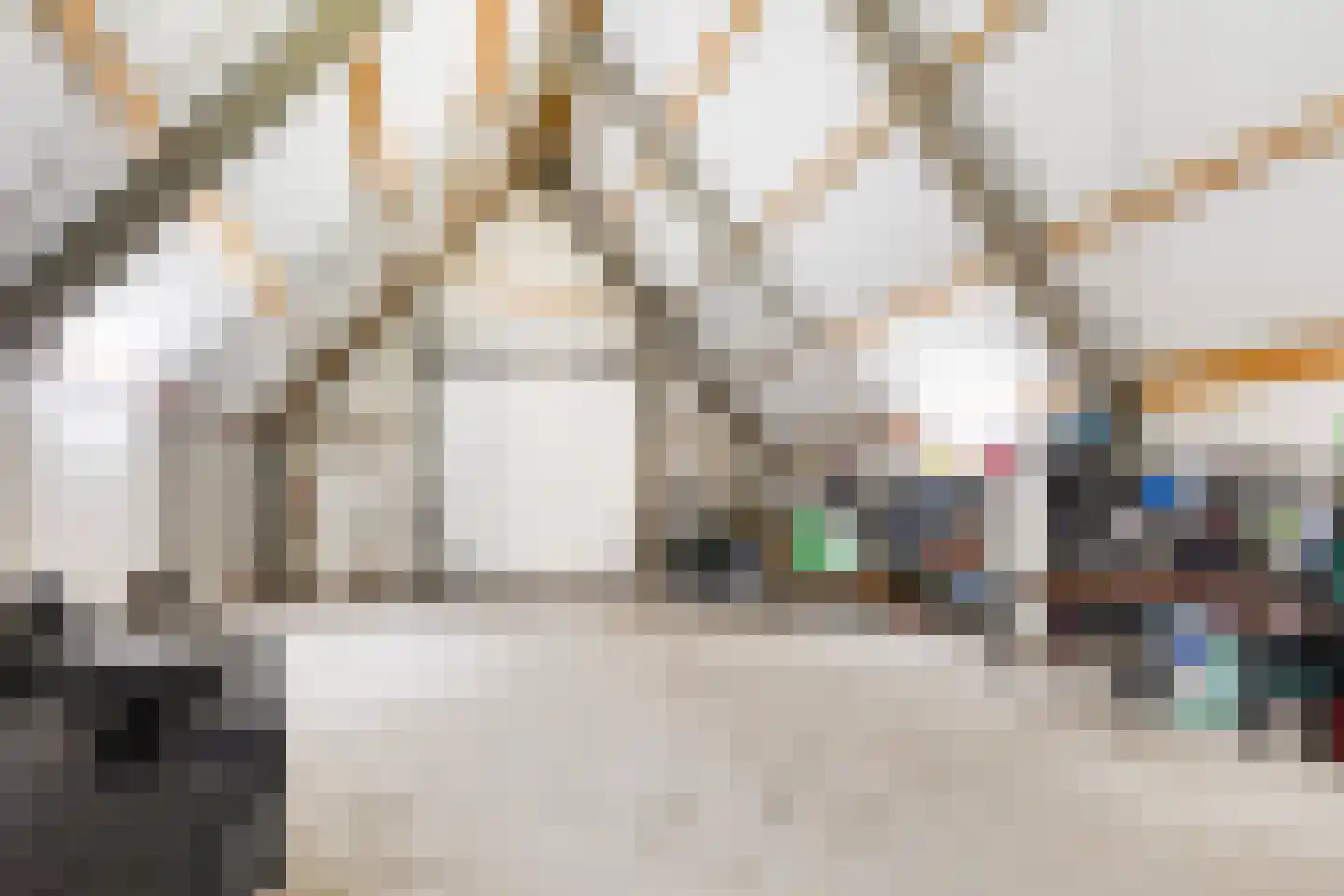 De Streng 4 Ternaard thumbnail 8