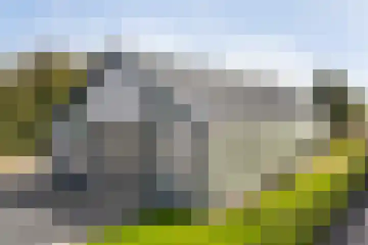 De Streng 5 A Ternaard thumbnail 10