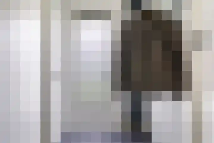 De Streng 5 A Ternaard thumbnail 12