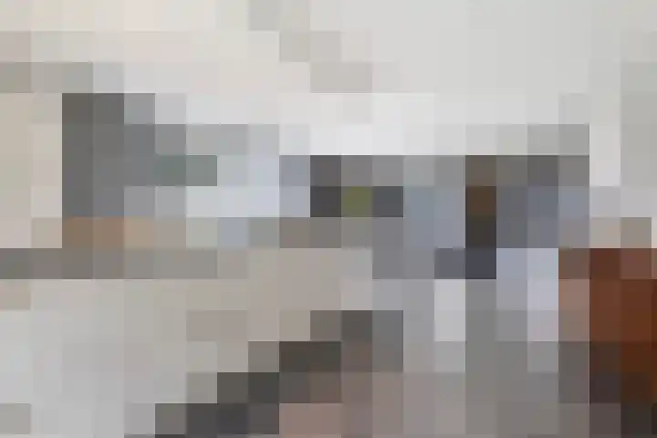 De Streng 5 A Ternaard thumbnail 22