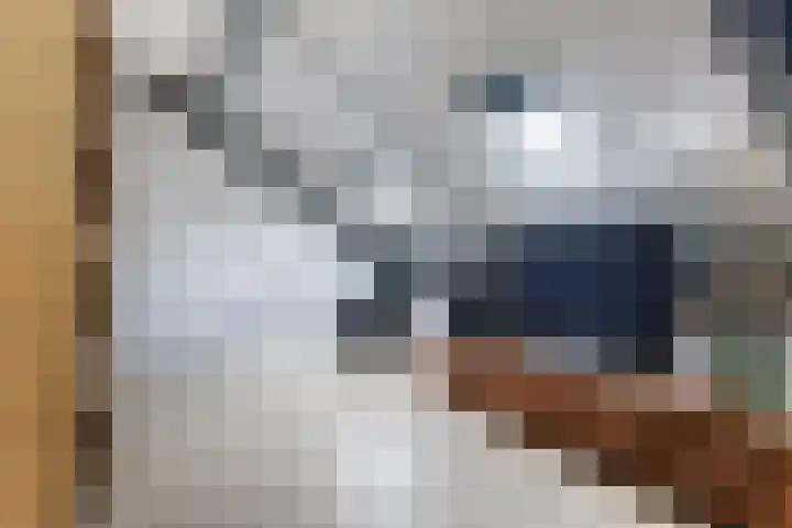 De Streng 5 A Ternaard thumbnail 37