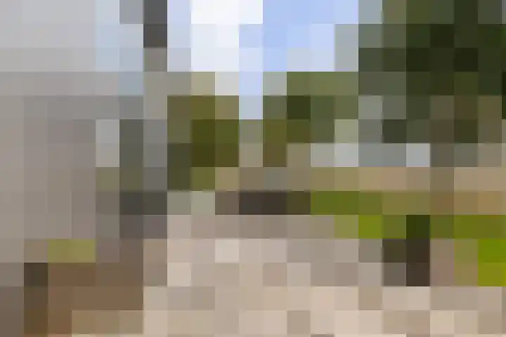 De Streng 5 A Ternaard thumbnail 45