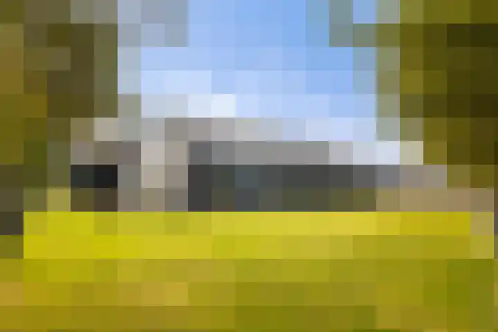 De Streng 5 A Ternaard thumbnail 5