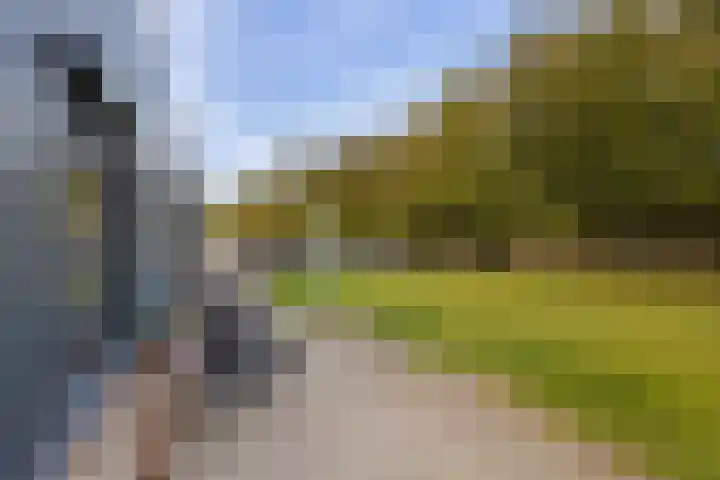 De Streng 5 A Ternaard thumbnail 51