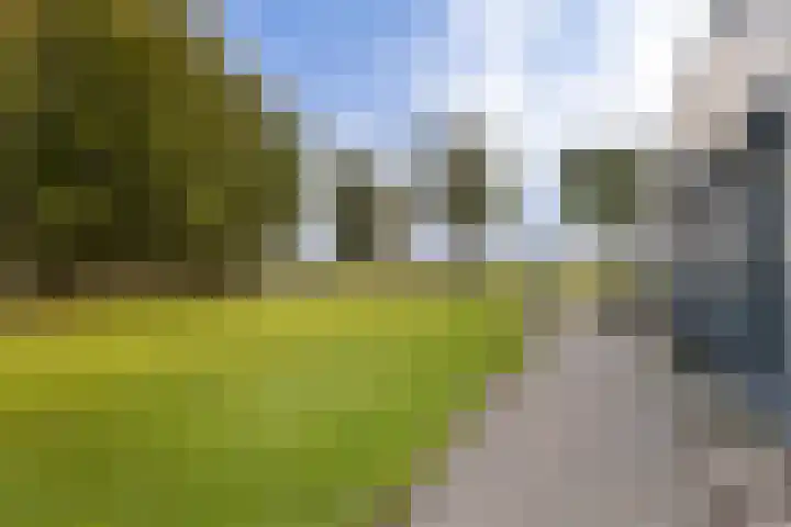 De Streng 5 A Ternaard thumbnail 52