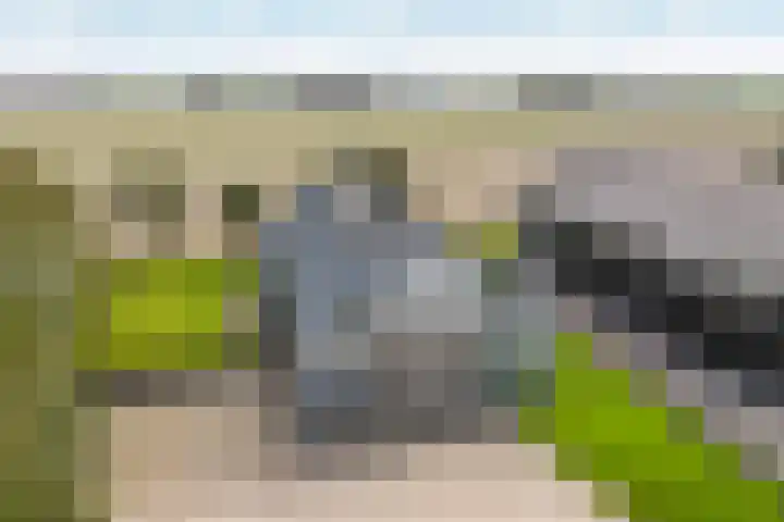 De Streng 5 A Ternaard thumbnail 7