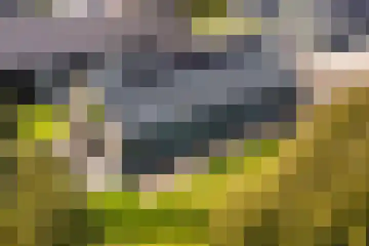 De Streng 5 A Ternaard thumbnail 9