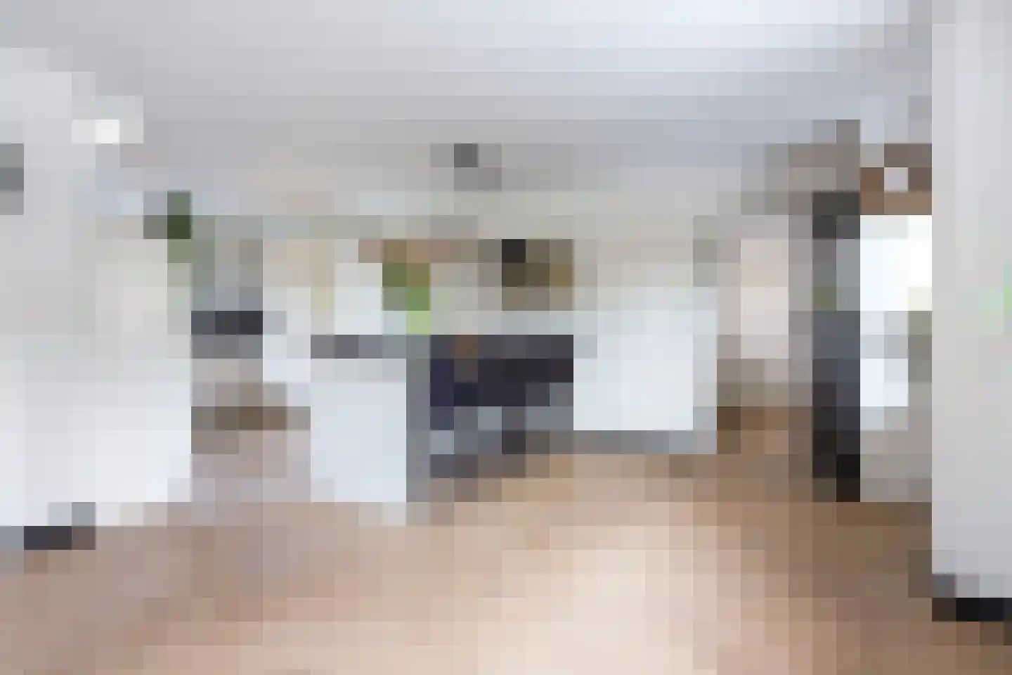 De Strikel 1 Deinum thumbnail 12