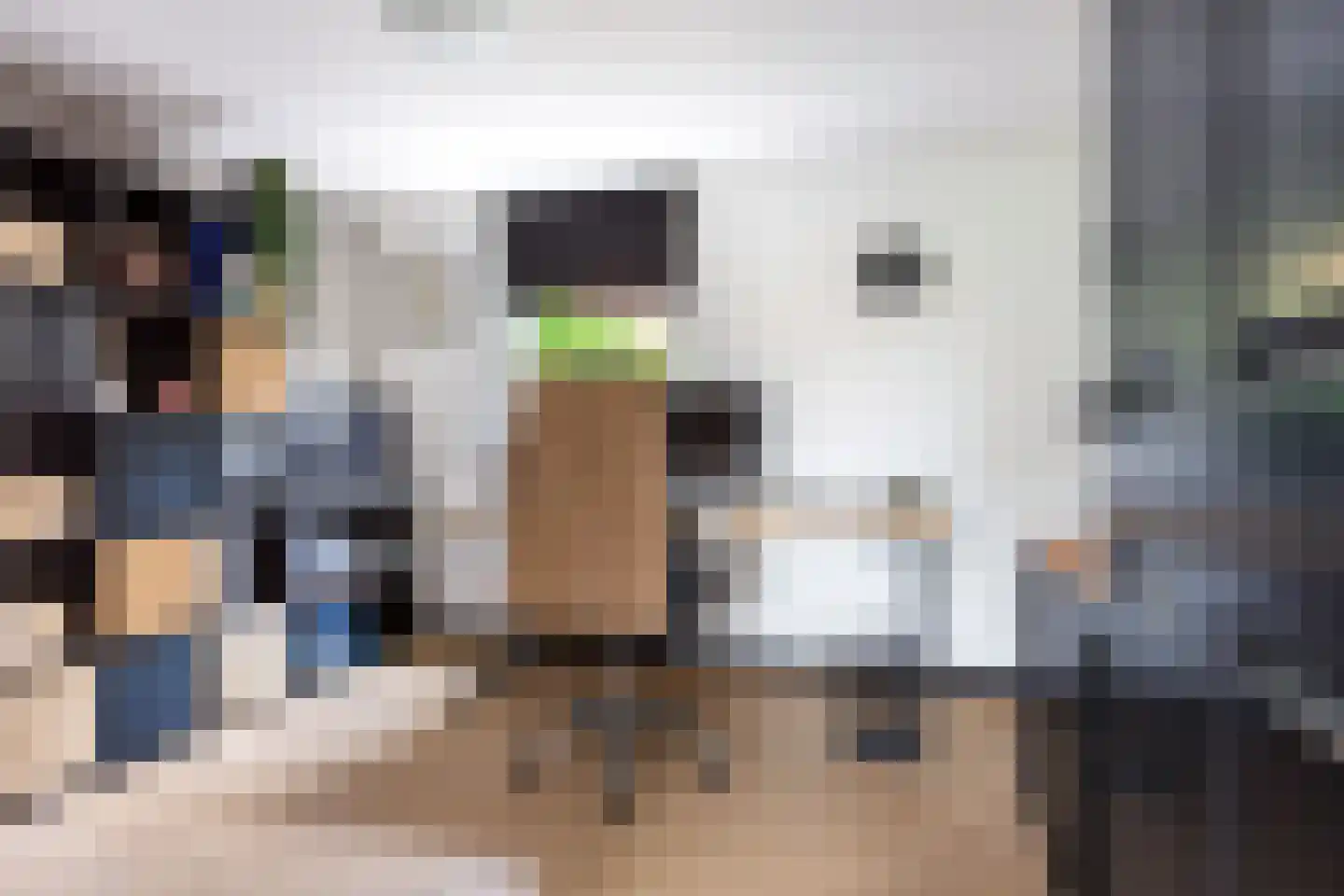 De Strikel 1 Deinum thumbnail 17