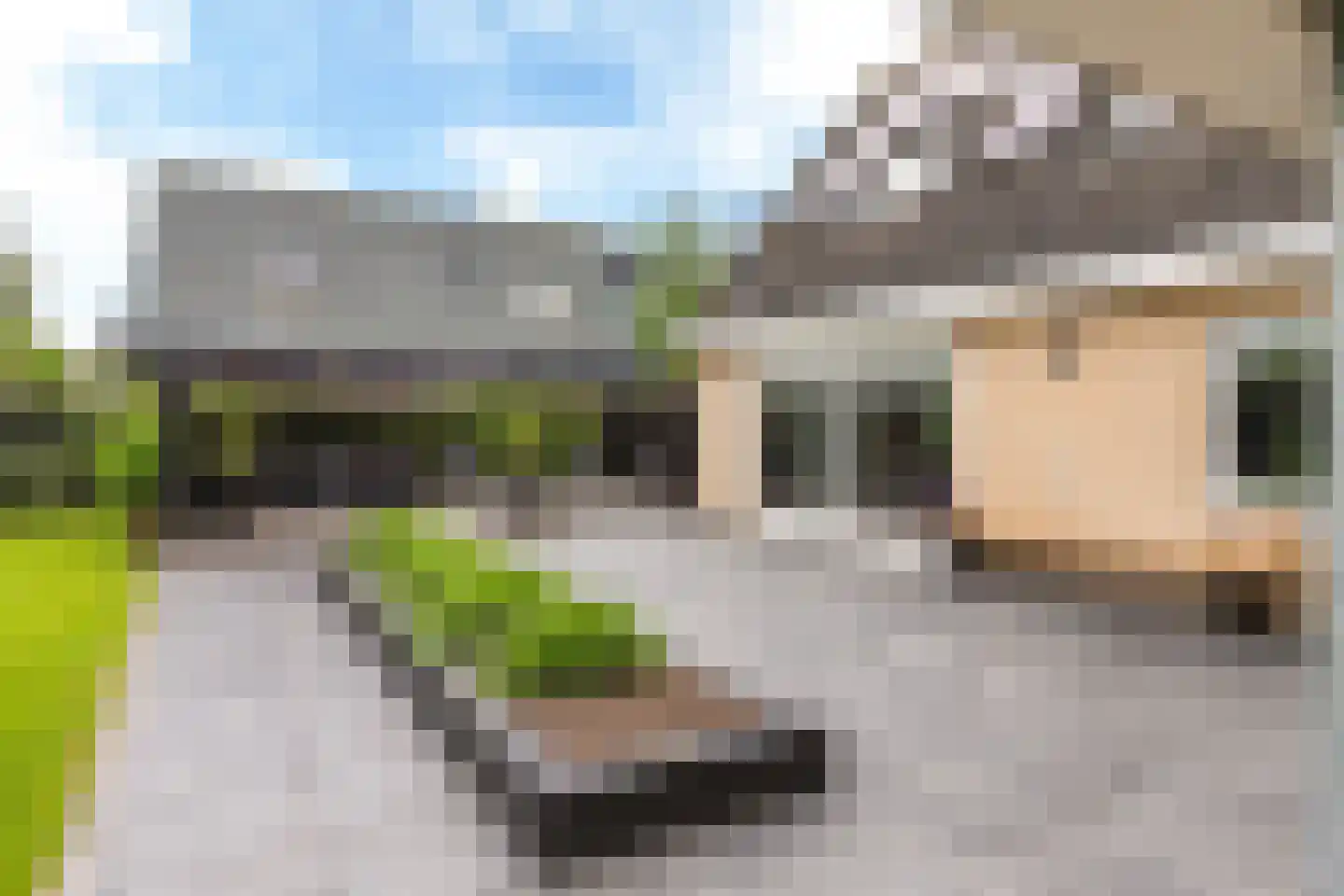 De Strikel 1 Deinum thumbnail 20