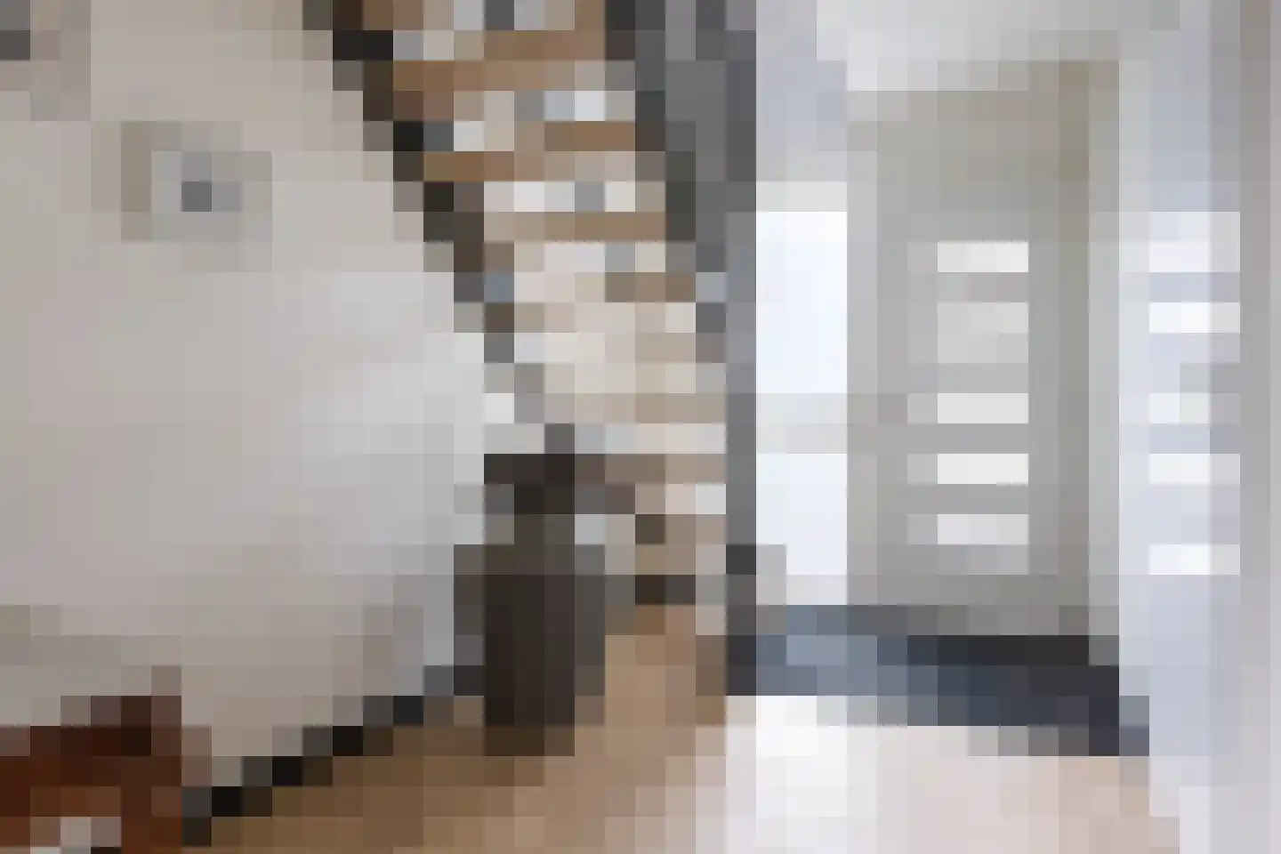 De Strikel 1 Deinum thumbnail 27