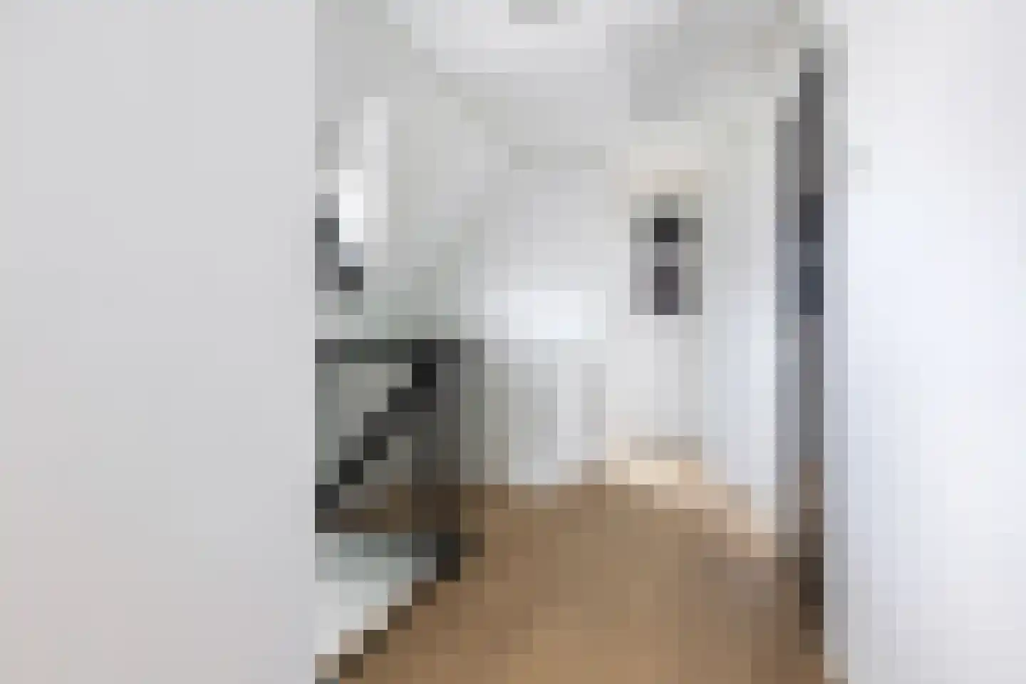 De Strikel 1 Deinum thumbnail 28