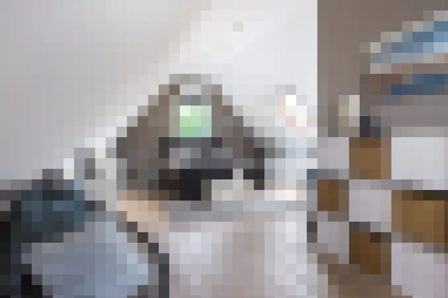 De Strikel 1 Deinum thumbnail 29