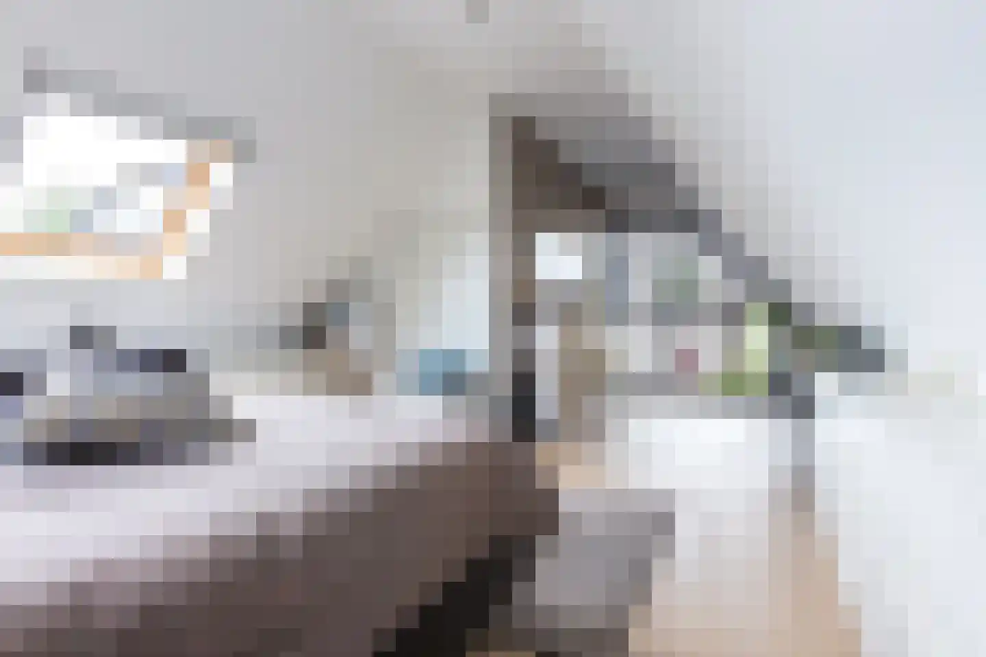 De Strikel 1 Deinum thumbnail 30