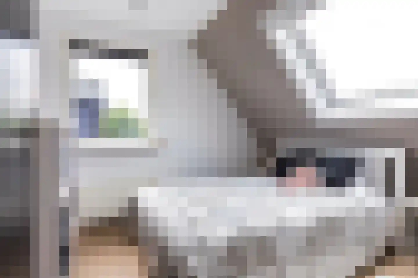 De Strikel 1 Deinum thumbnail 31