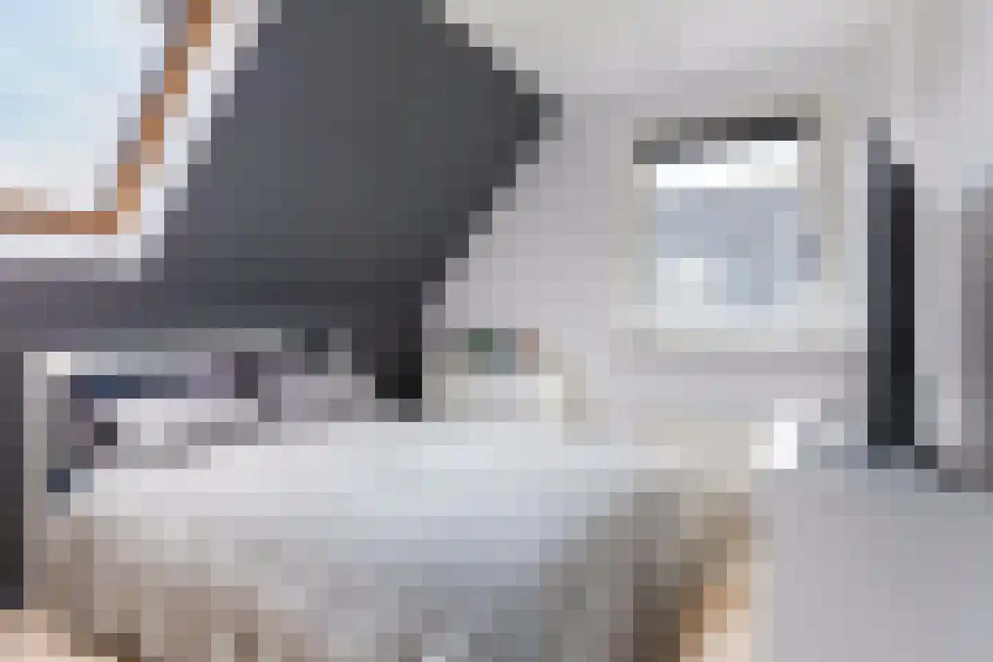 De Strikel 1 Deinum thumbnail 33