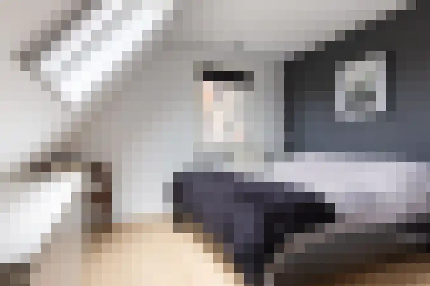 De Strikel 1 Deinum thumbnail 36