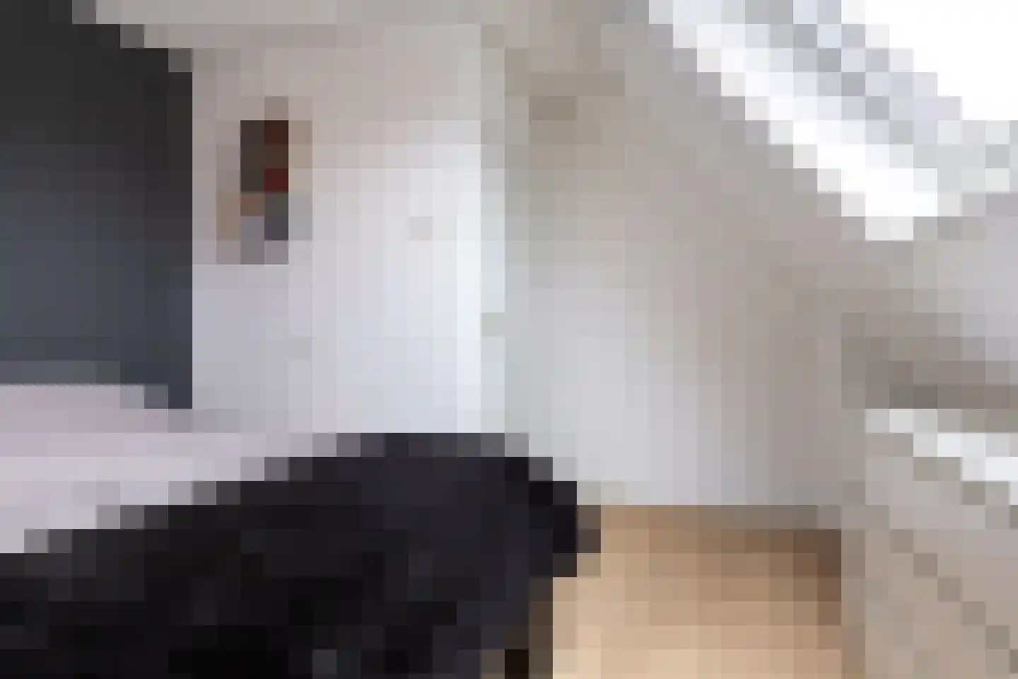 De Strikel 1 Deinum thumbnail 37