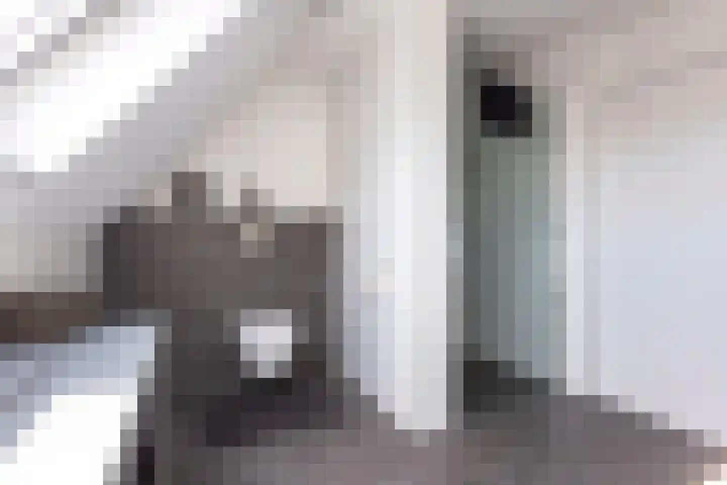 De Strikel 1 Deinum thumbnail 40