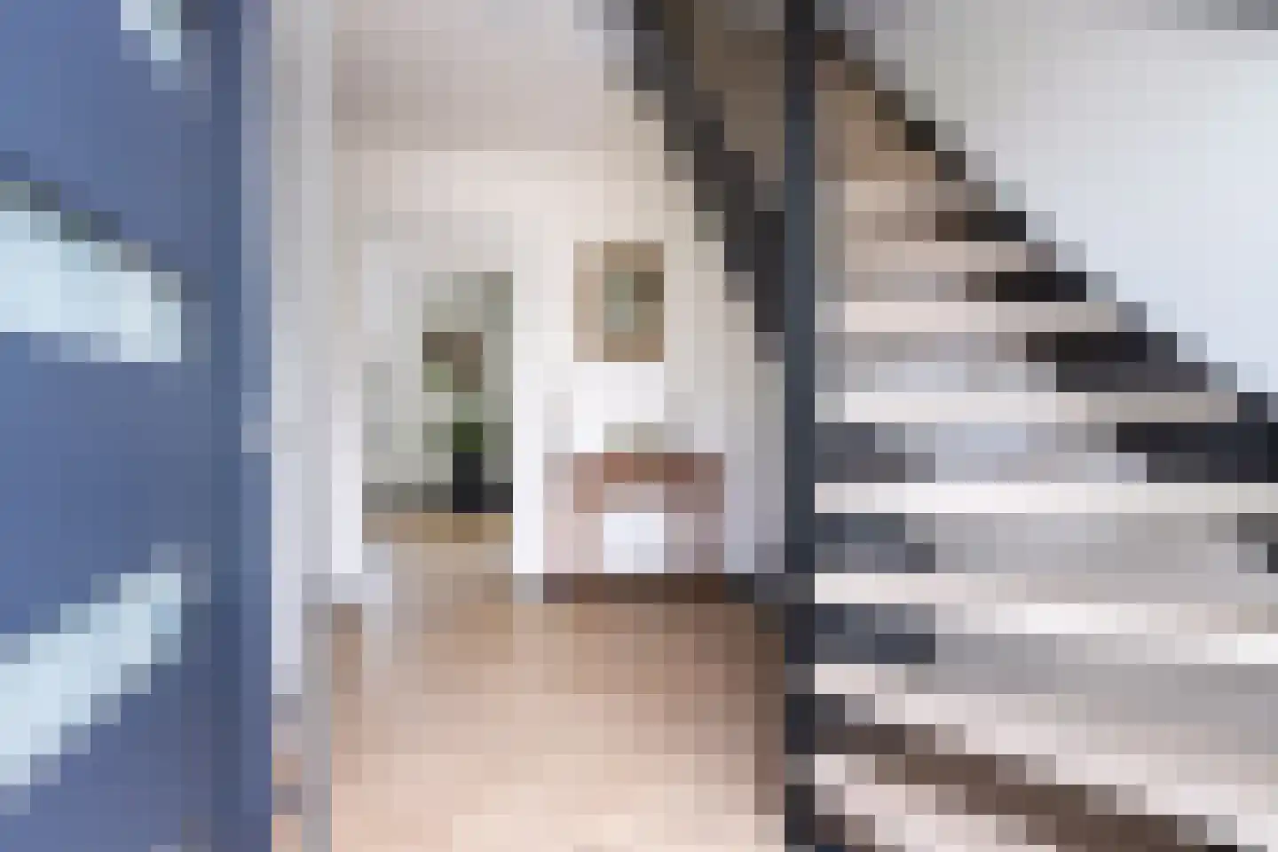 De Strikel 1 Deinum thumbnail 6