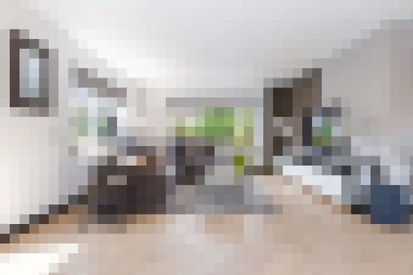 De Strikel 1 Deinum thumbnail 9