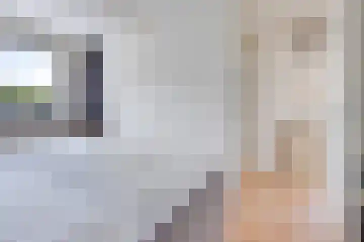 de Strikel 5 Jubbega thumbnail 22