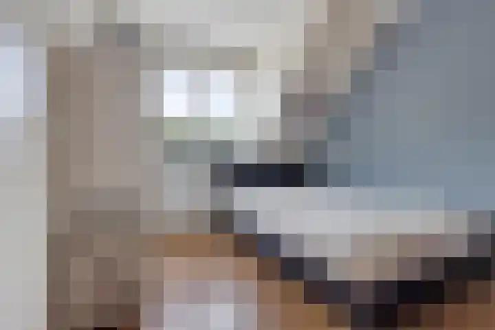 de Strikel 5 Jubbega thumbnail 24