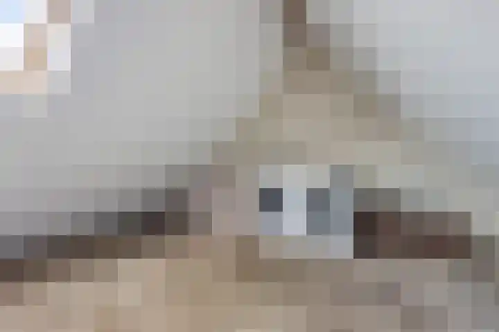de Strikel 5 Jubbega thumbnail 32