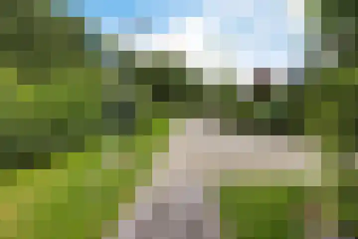 de Strikel 5 Jubbega thumbnail 40