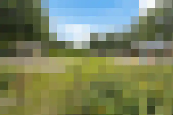 de Strikel 5 Jubbega thumbnail 41